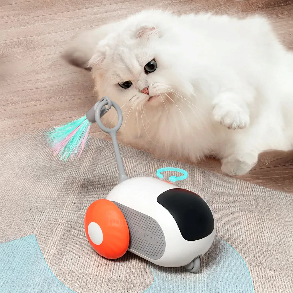 Interactive Smart Cat Toy Car with Remote Control