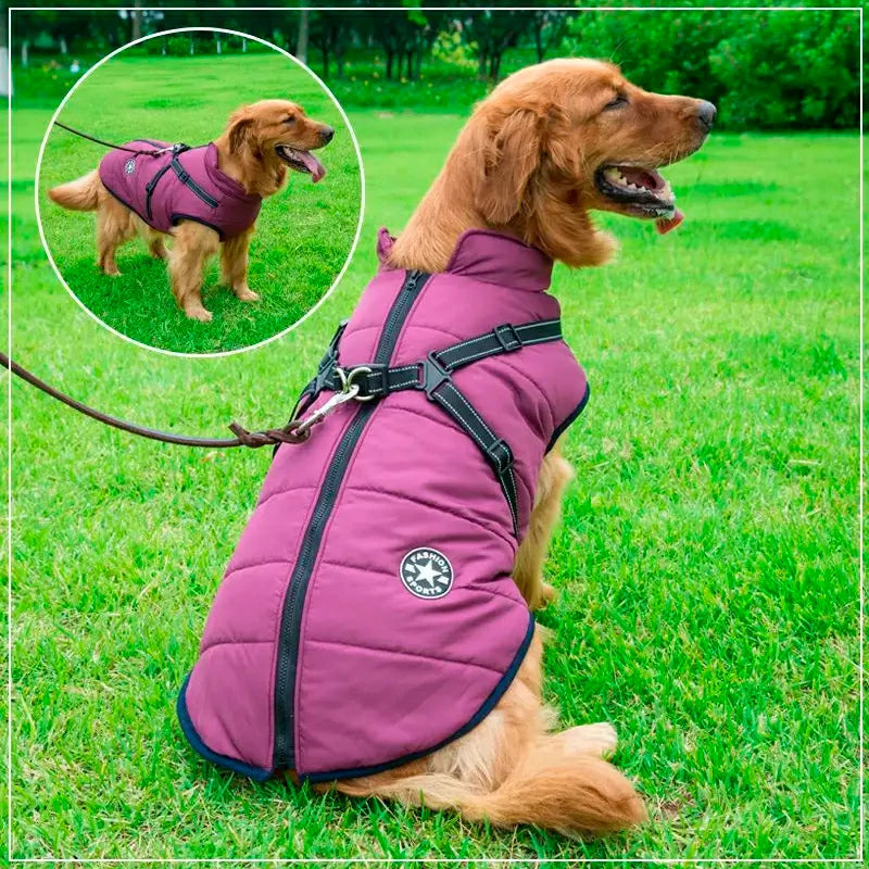 Ultimate Winter Dog Jacket with Harness - Waterproof & Warm