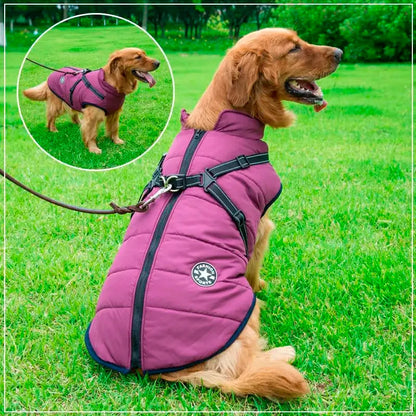 Ultimate Winter Dog Jacket with Harness - Waterproof & Warm