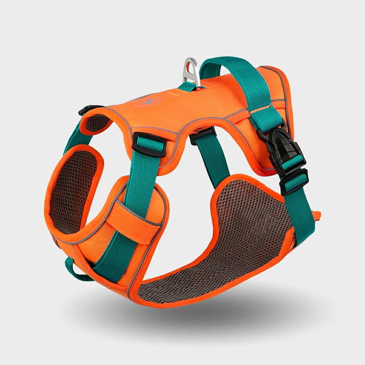 Adjustable Breathable Dog Harness - Reflective, Non-Pull & Total Control