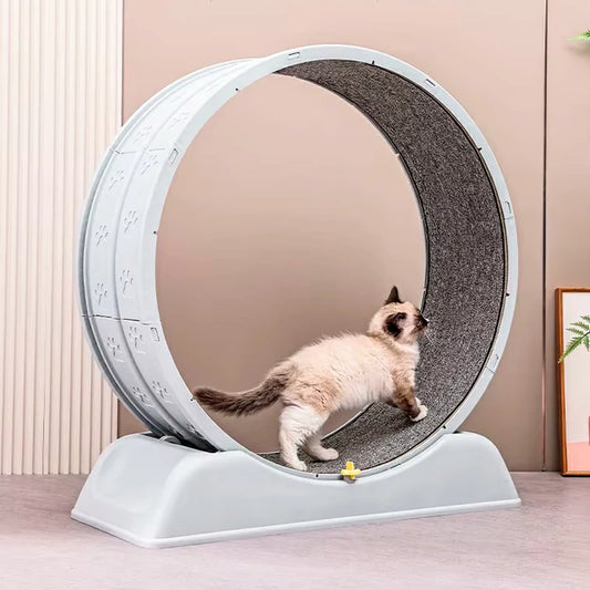 Ultra-Quiet Cat Exercise Wheel with Safety Lock