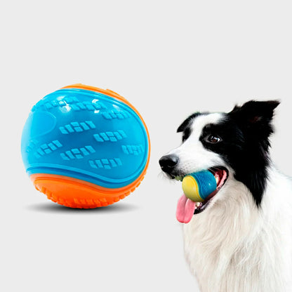 Interactive Squeaky Dog Balls - Set of 6 for Teeth Cleaning