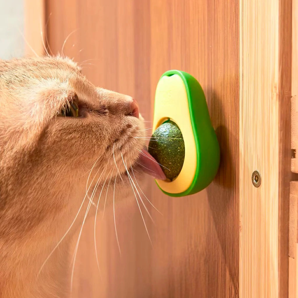 Rotating Avocado Catnip Toy for Cats - Teeth Cleaning Fun