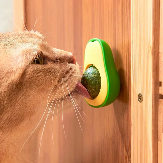 Rotating Avocado Catnip Toy for Cats - Teeth Cleaning Fun
