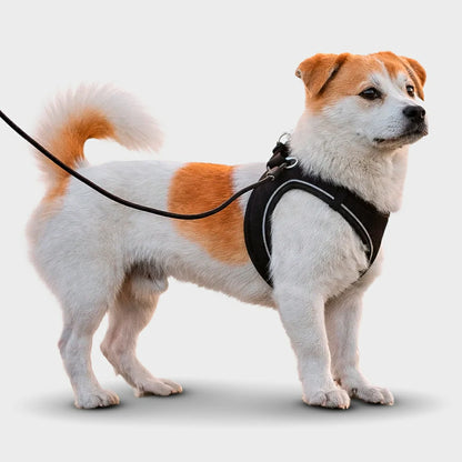 Reflective Dog Harness & Leash Set - Adjustable & Comfortable