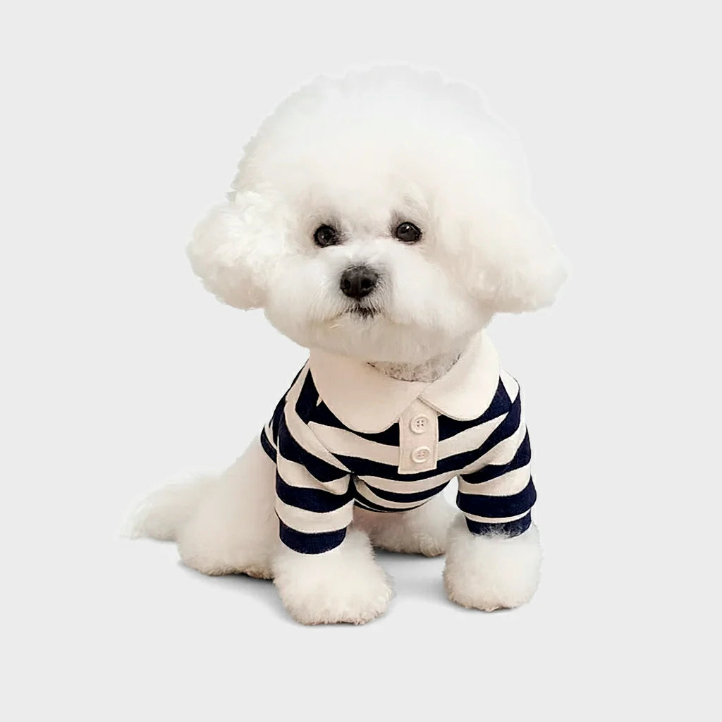 Stylish Summer Polo Shirt for Small & Medium Dogs