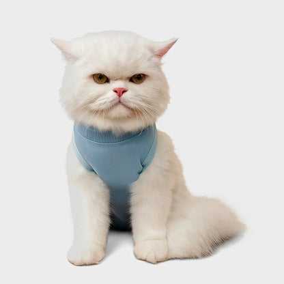 Comfortable Pet Recovery Suit - Anti-Licking & Breathable