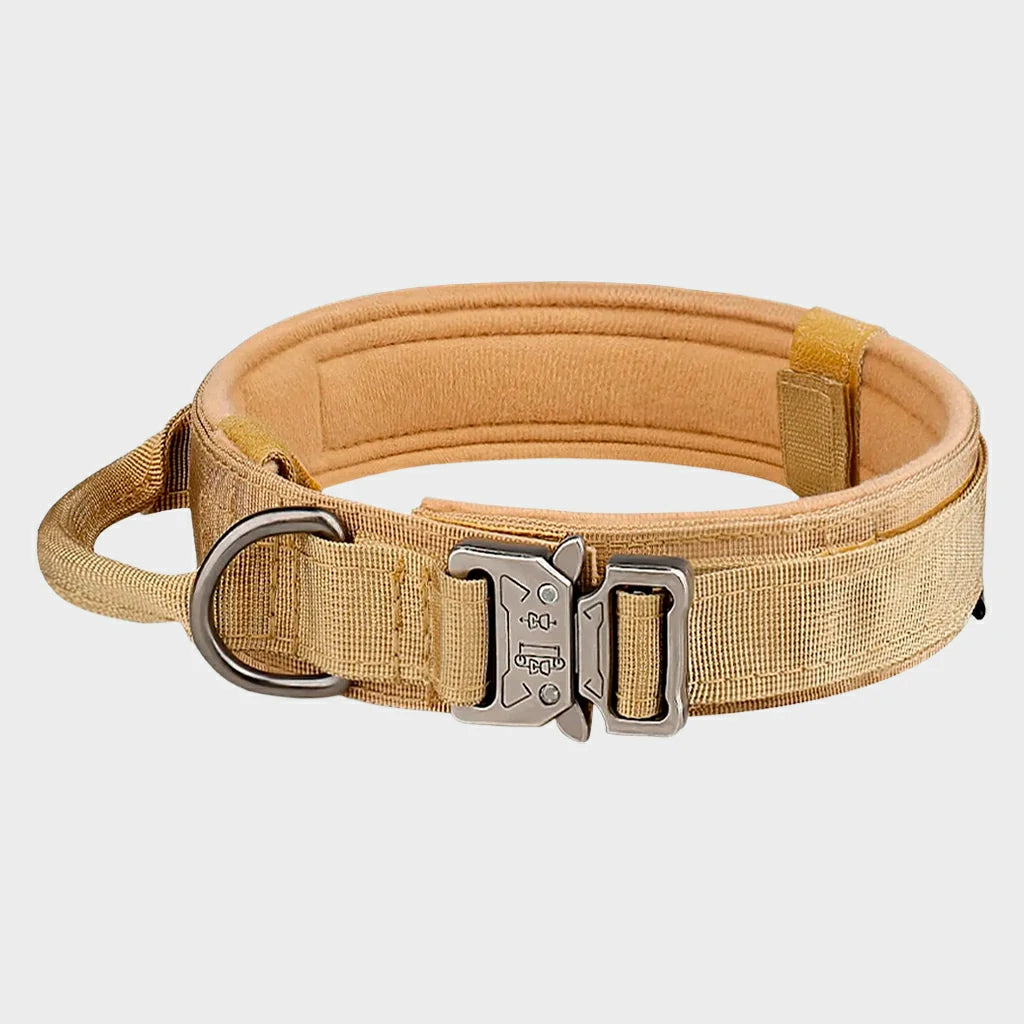 Tactical Nylon Dog Collar with Metal Buckle for Training