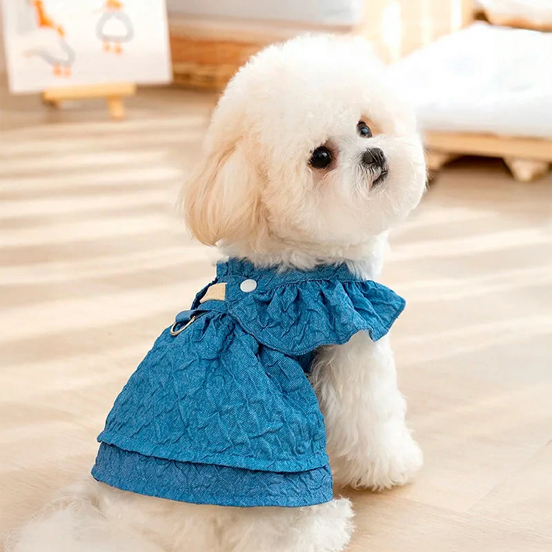 Charming Denim Dress for Small Dogs and Cats