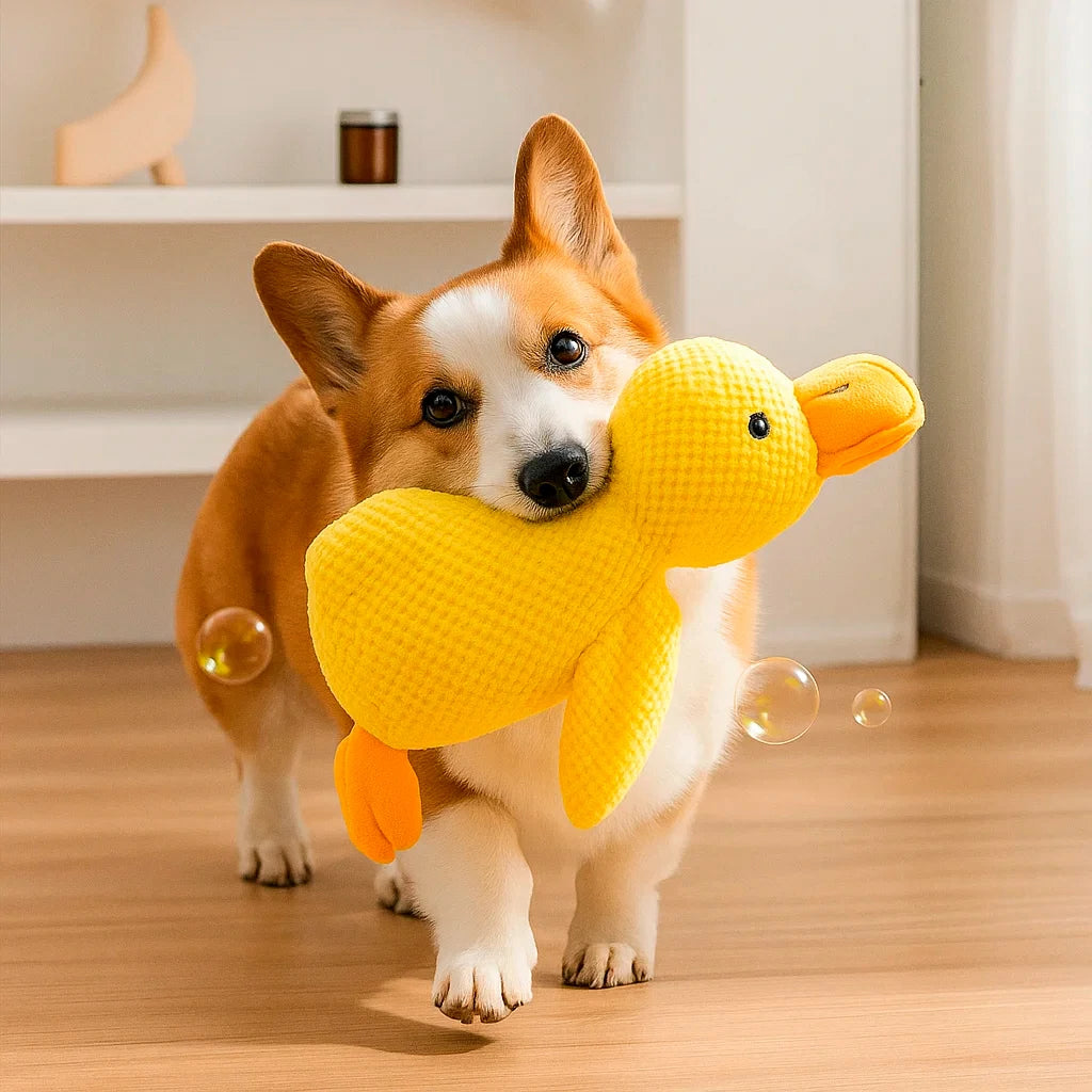 Plush Duck Toy for Dogs - Interactive Squeaky Fun