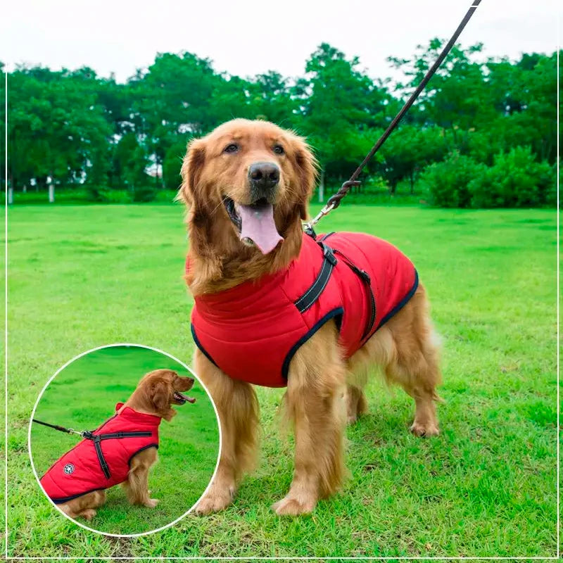 Ultimate Winter Dog Jacket with Harness - Waterproof & Warm