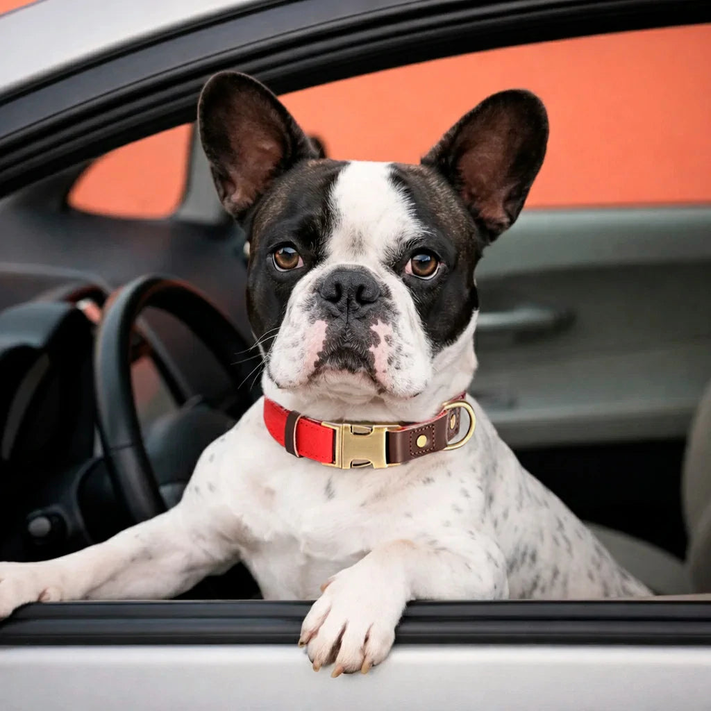 Premium PU Leather Dog Collar – Elegant, Durable & Adjustable