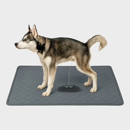 DryPaws Pad – Washable, Absorbent, & Reusable Pet Training Mat
