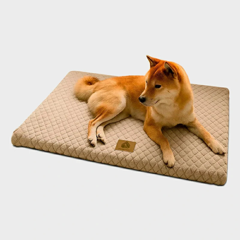 Orthopedic 3D Foam Dog Bed with Washable Faux Fur Cover