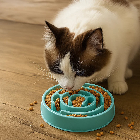 Harmony Slow Feeder Pet Bowl - Anti-Choking, Anti-Indigestion Labyrinth Design