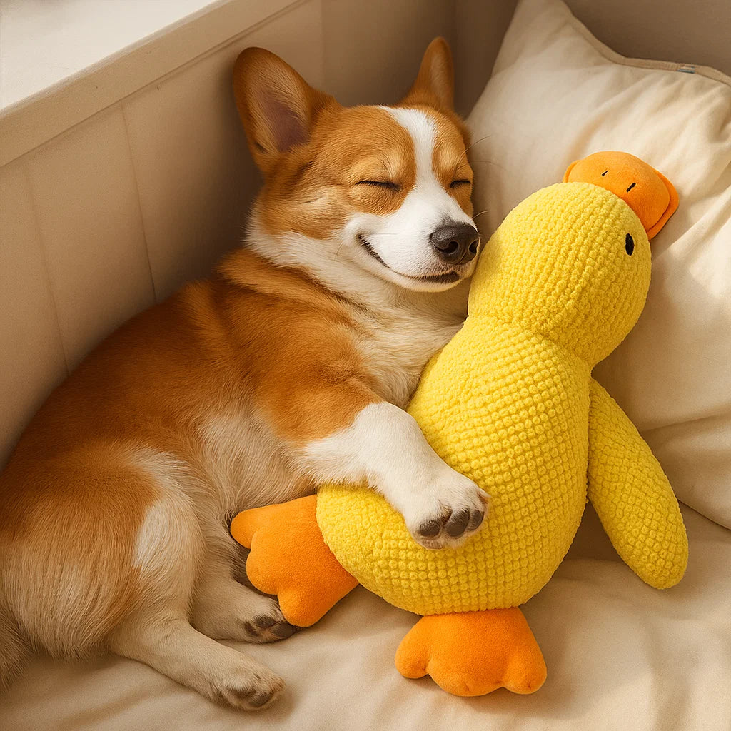 Plush Duck Toy for Dogs - Interactive Squeaky Fun