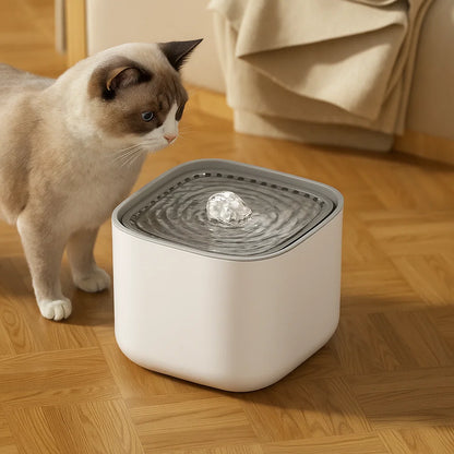Silent Cat Water Fountain with Large Capacity & USB Power
