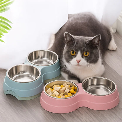 Dual Stainless Steel Pet Feeder Bowls for Cats & Small Dogs