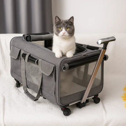 Ultimate Large Pet Trolley & Travel Carrier