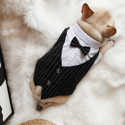 Elegant Dog Tuxedo with Bow Tie for Special Occasions