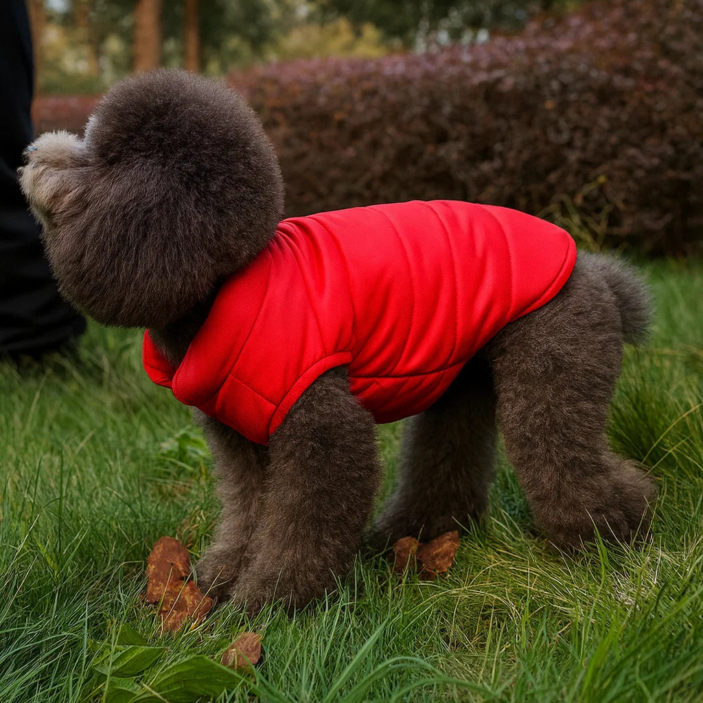 Double Sided Winter Dog Coat - Warm & Stylish Pet Vest