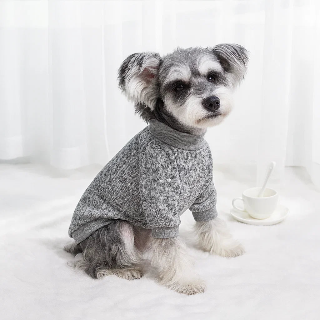 Cozy Winter Sweater for Small Dogs & Cats