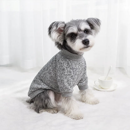 Cozy Winter Sweater for Small Dogs & Cats