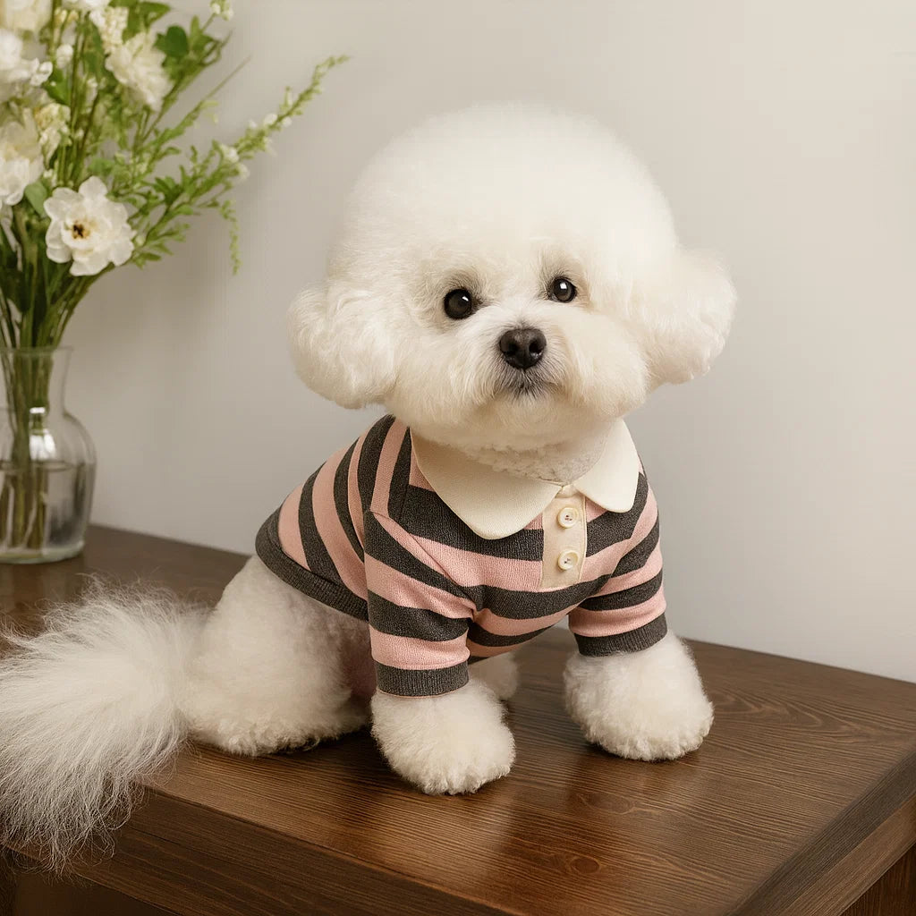 Stylish Summer Polo Shirt for Small & Medium Dogs