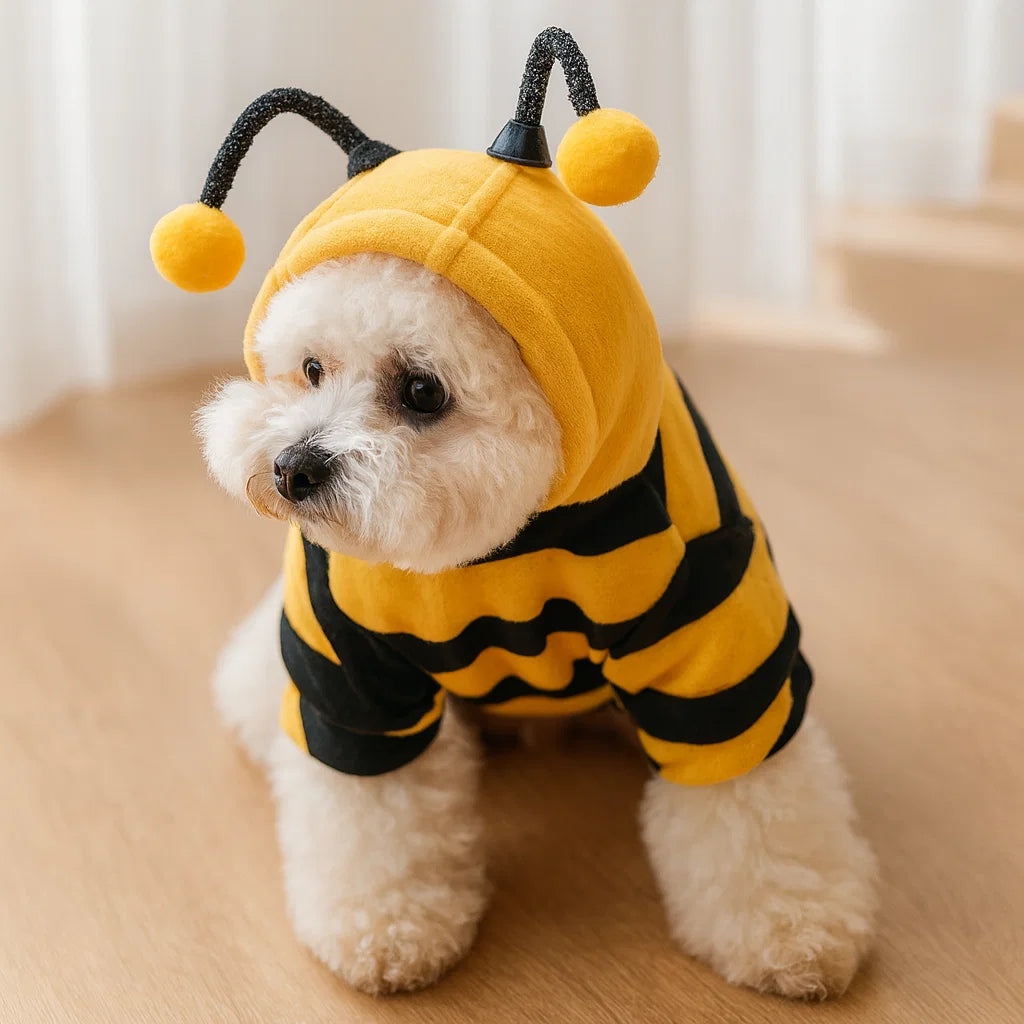 Charming Bee Costume for Small & Medium Pets