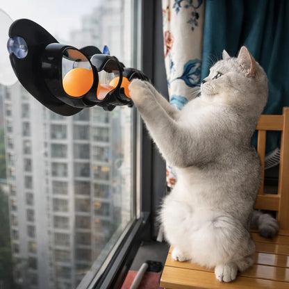 Interactive Cat Track Ball Toy with Suction Cups