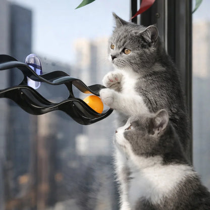 Interactive Cat Track Ball Toy with Suction Cups