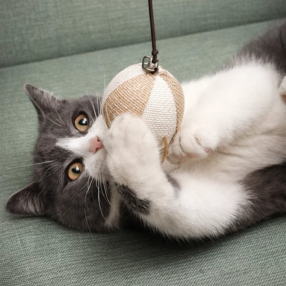 Colorful Feather Teaser Wand for Cats