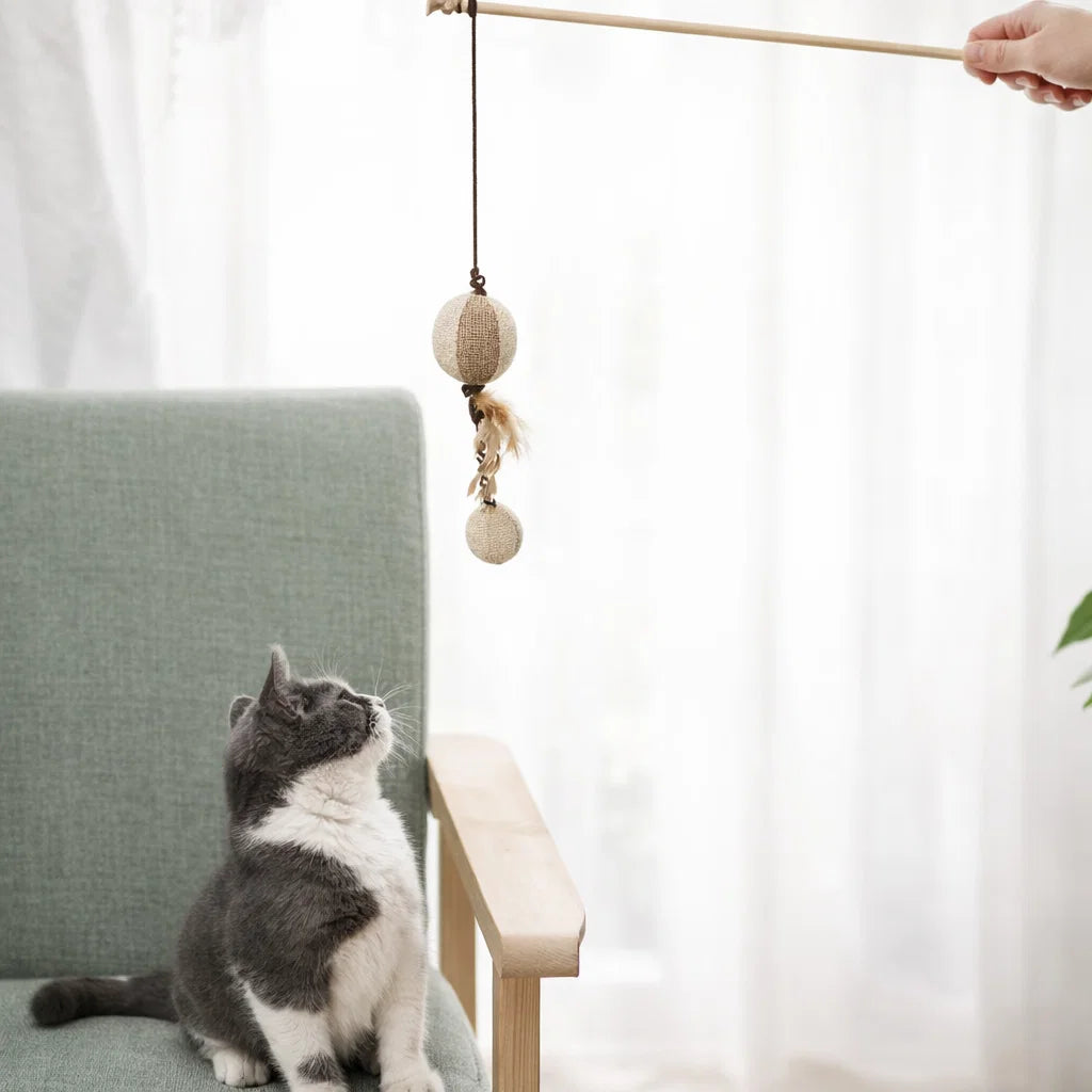 Colorful Feather Teaser Wand for Cats