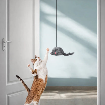 Interactive Cat Teaser Toy - Door Hanging Mouse