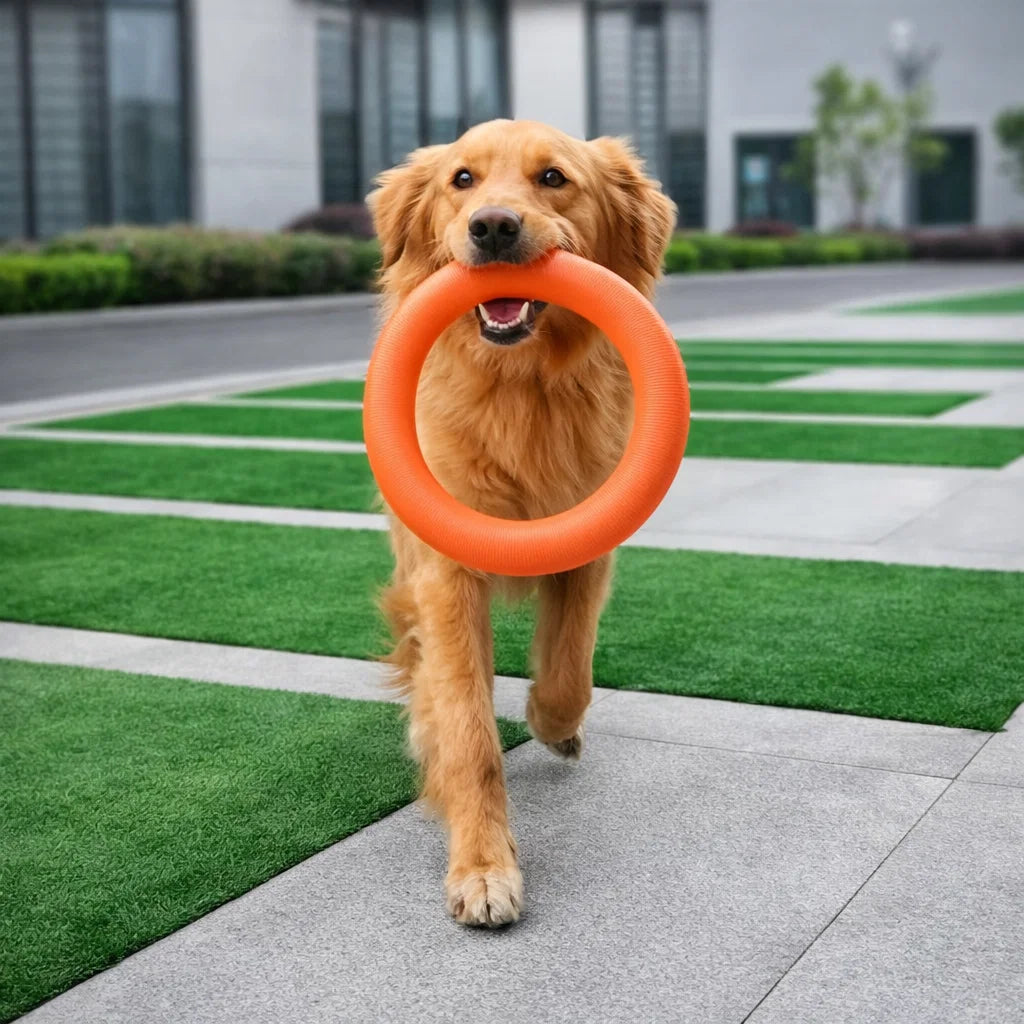 Indestructible Dog Ring Toy for Chewing & Fetching