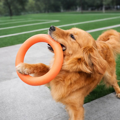 Indestructible Dog Ring Toy for Chewing & Fetching