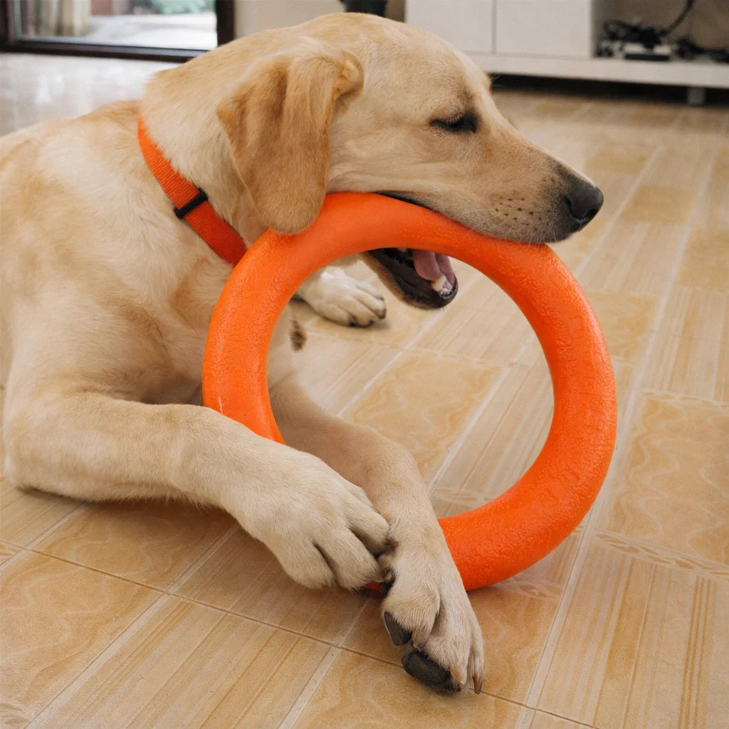 Indestructible Dog Ring Toy for Chewing & Fetching