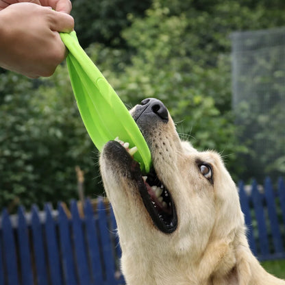Durable Silicone Dog Flying Disc - Outdoor Fun