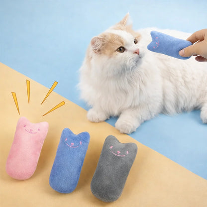 Interactive Catnip Plush Toy for Cats - Teeth Grinding & Fun