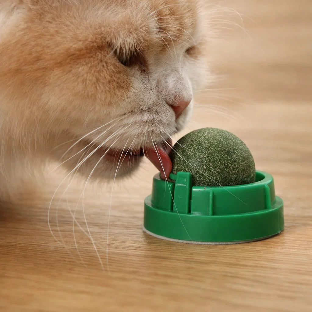 Catnip Wall Ball Toy for Cats - Digestive Health & Fun