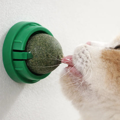 Catnip Wall Ball Toy for Cats - Digestive Health & Fun
