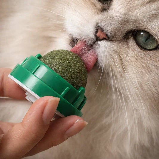 Catnip Wall Ball Toy for Cats - Digestive Health & Fun