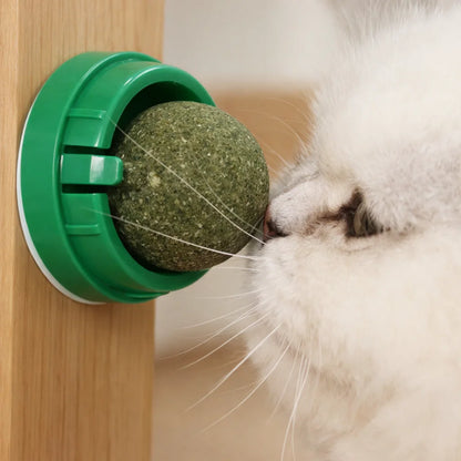 Catnip Wall Ball Toy for Cats - Digestive Health & Fun