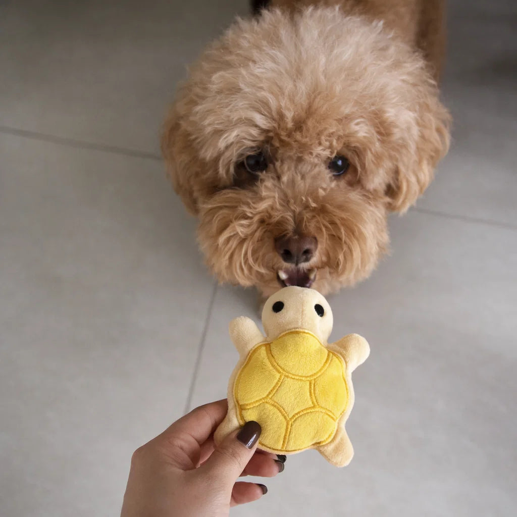 Mini Turtle Plush Chew Toy for Puppies