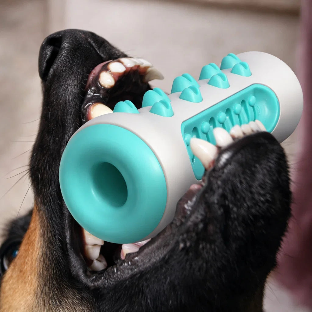 Ultimate Dog Dental Chew Toy for Fresh Breath