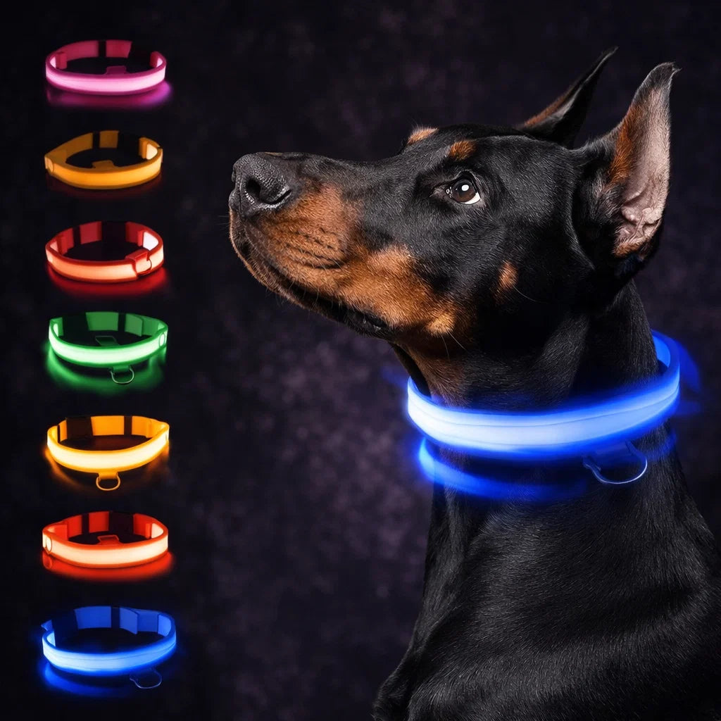 Luminous LED Safety Dog Collar - High Visibility for Night Walks
