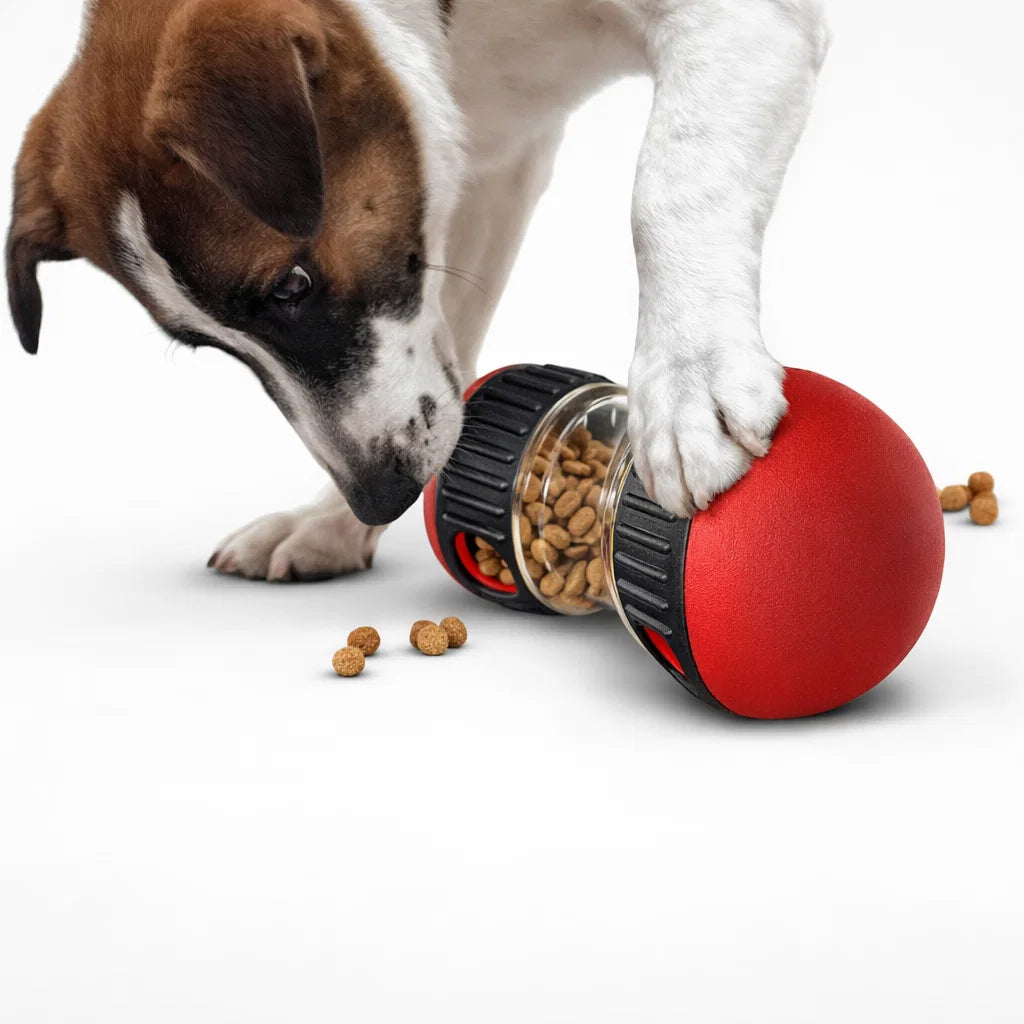 BrainyBite Ball – Interactive Smart Treat Dispenser for Dogs & Cats