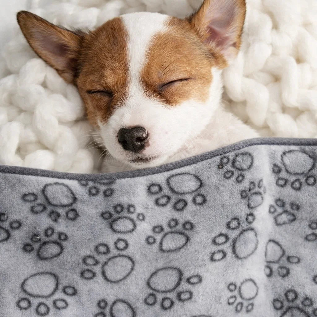 Ultra-Soft Washable Pet Blanket for Dogs & Cats