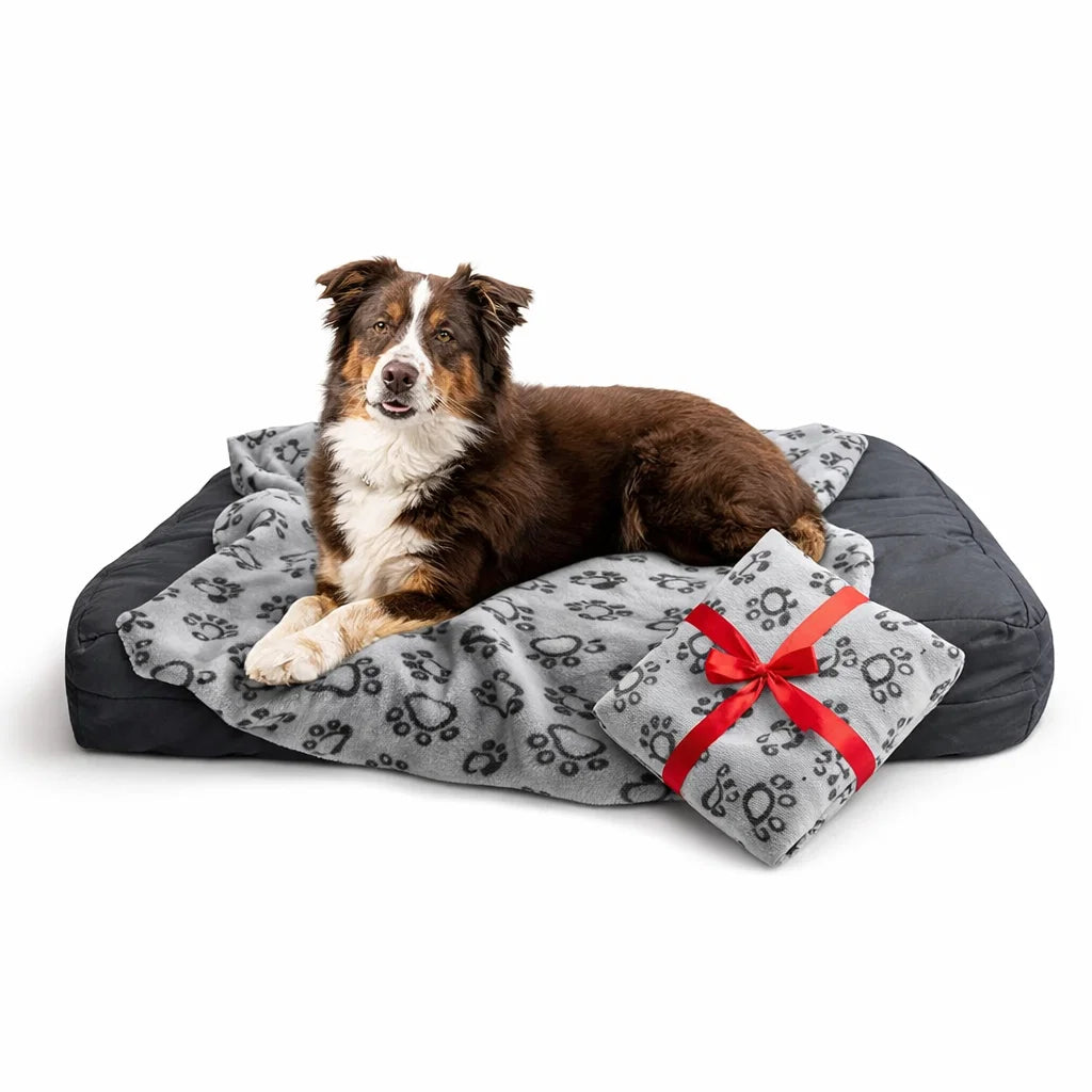 Ultra-Soft Washable Pet Blanket for Dogs & Cats