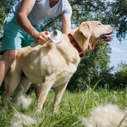 Self-Cleaning Pet Hair Removal Brush for Dogs & Cats